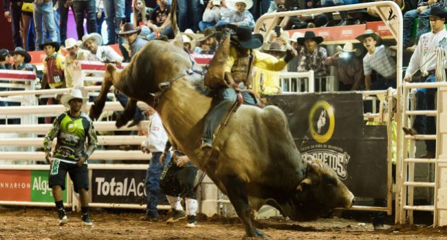 Festa do Peão de Barretos: começa hoje o maior rodeio da América